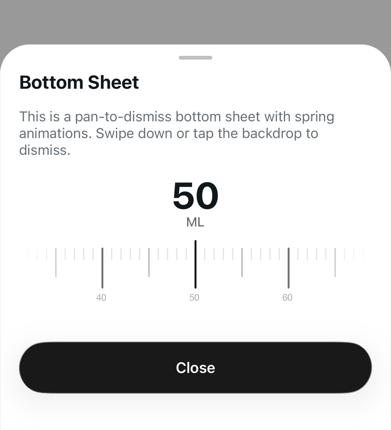 Bottom Sheet